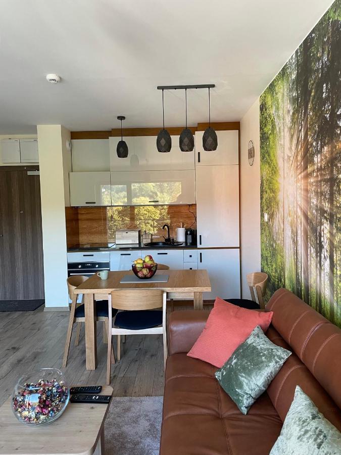 Apartament Delux 2 Szklarska Poreba Dış mekan fotoğraf